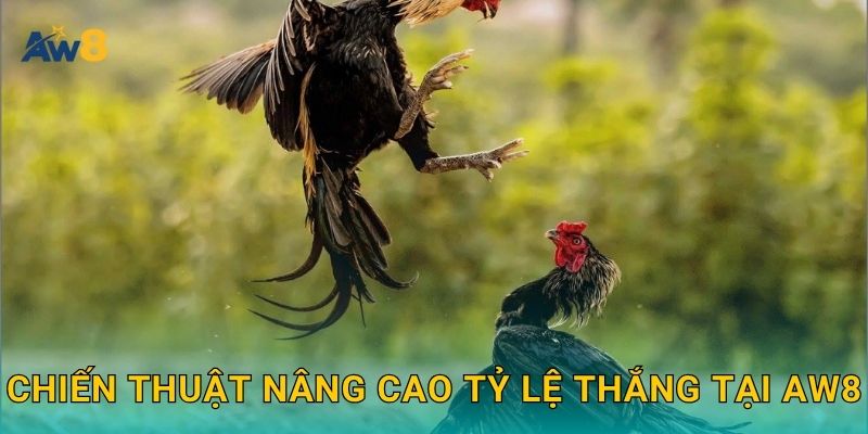 Chiến thuật nâng cao tỷ lệ thắng tại Aw8