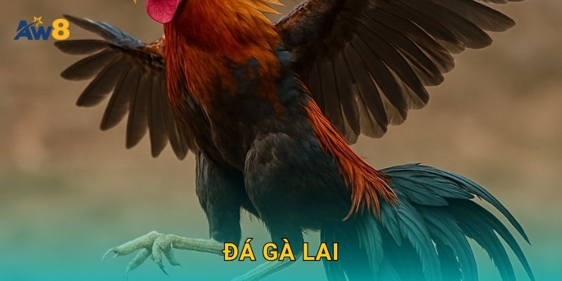 Đá gà lai – Sự kết hợp sức mạnh và tốc độ tại Aw8