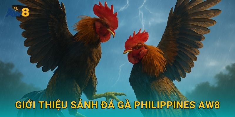 Giới thiệu sảnh đá gà Philippines Aw8