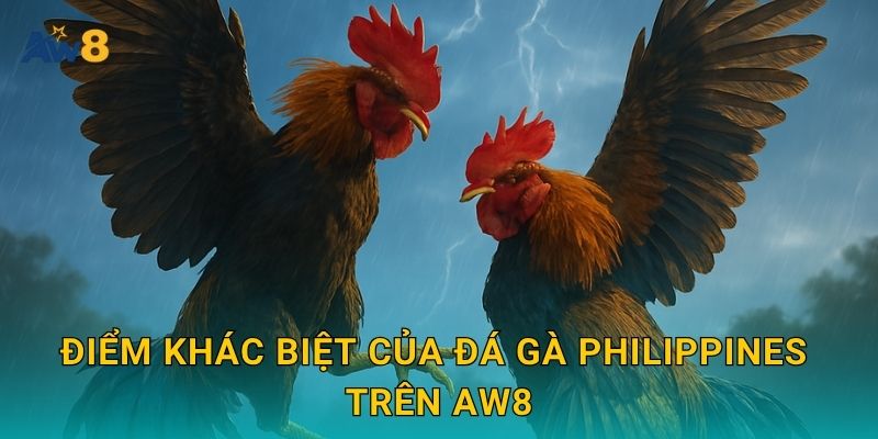 Điểm khác biệt của đá gà Philippines trên Aw8