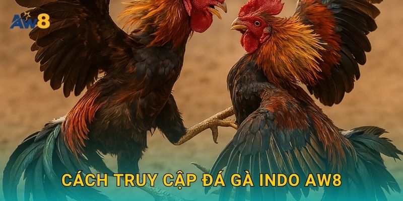 Cách truy cập đá gà Indo Aw8
