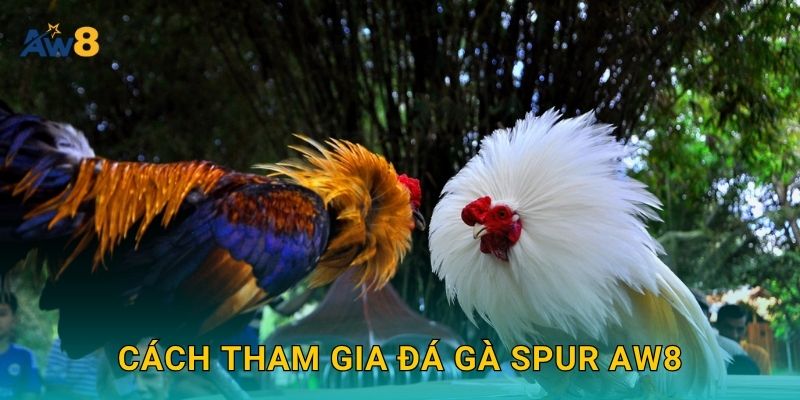Cách tham gia đá gà spur Aw8