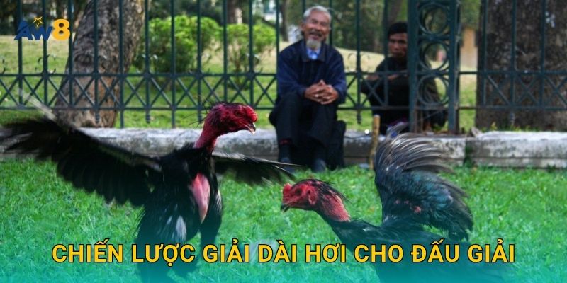 Chiến lược giải dài hơi cho đấu giải